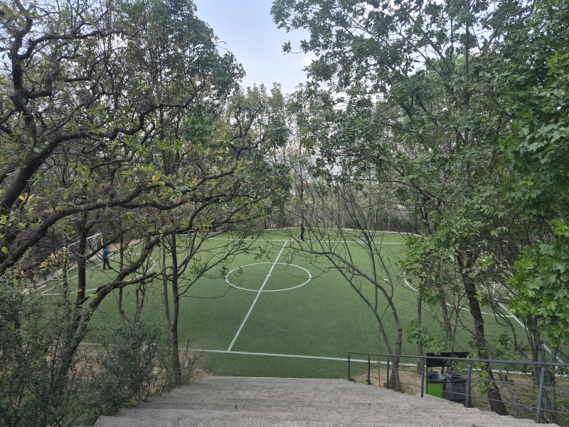 Departamento Exterior En Bosque Real