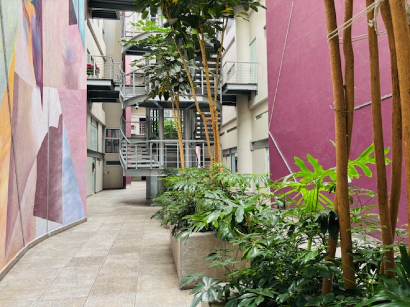 Departamento en renta, Condesa con terraza