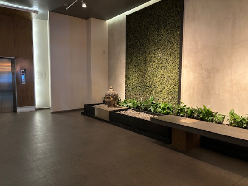 Departamento en renta, Condesa con terraza