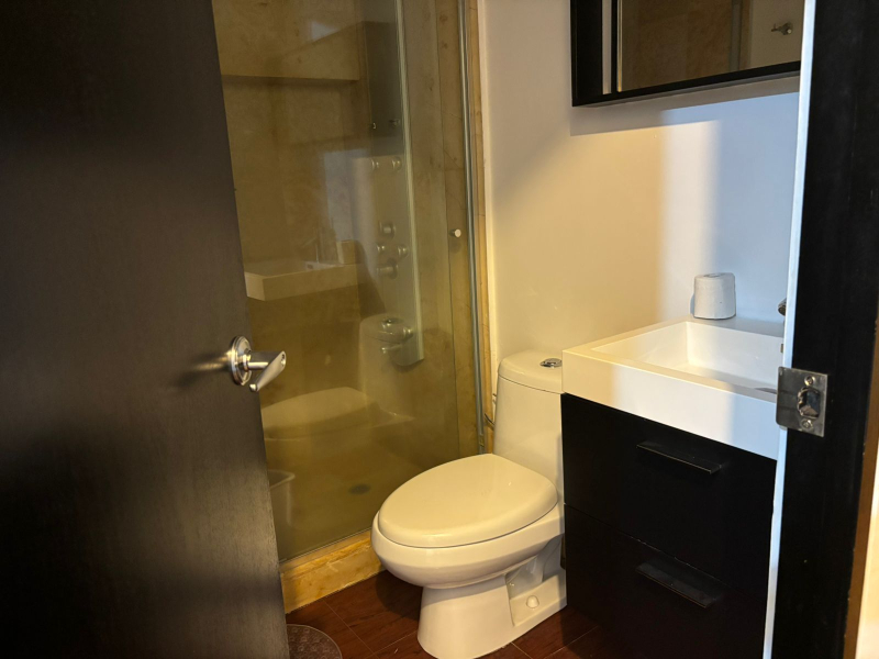 Departamento en renta, Condesa con terraza