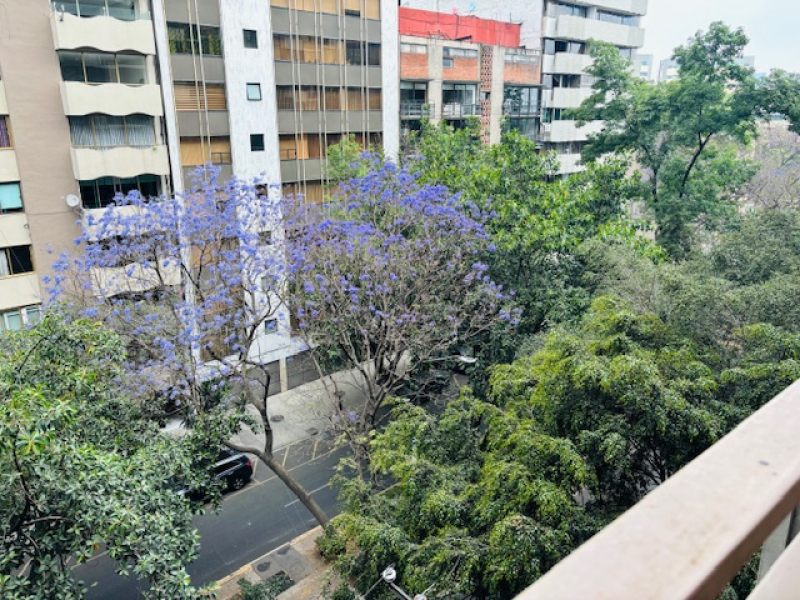 departamento en venta polanco, exterior con terraza