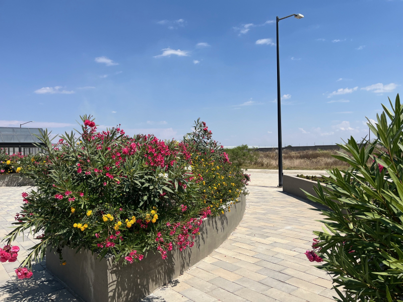 Terreno En Venta En Nextipac 