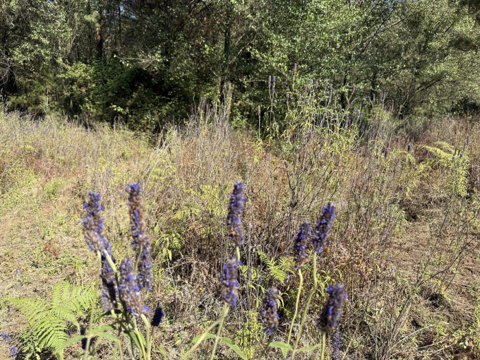 Terreno en San Simón el Alto