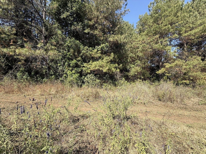 Terreno en San Simón el Alto