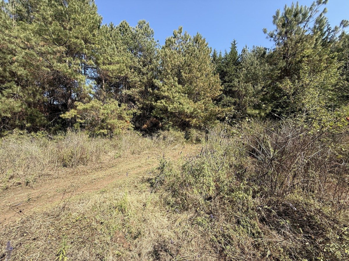 Terreno en San Simón el Alto