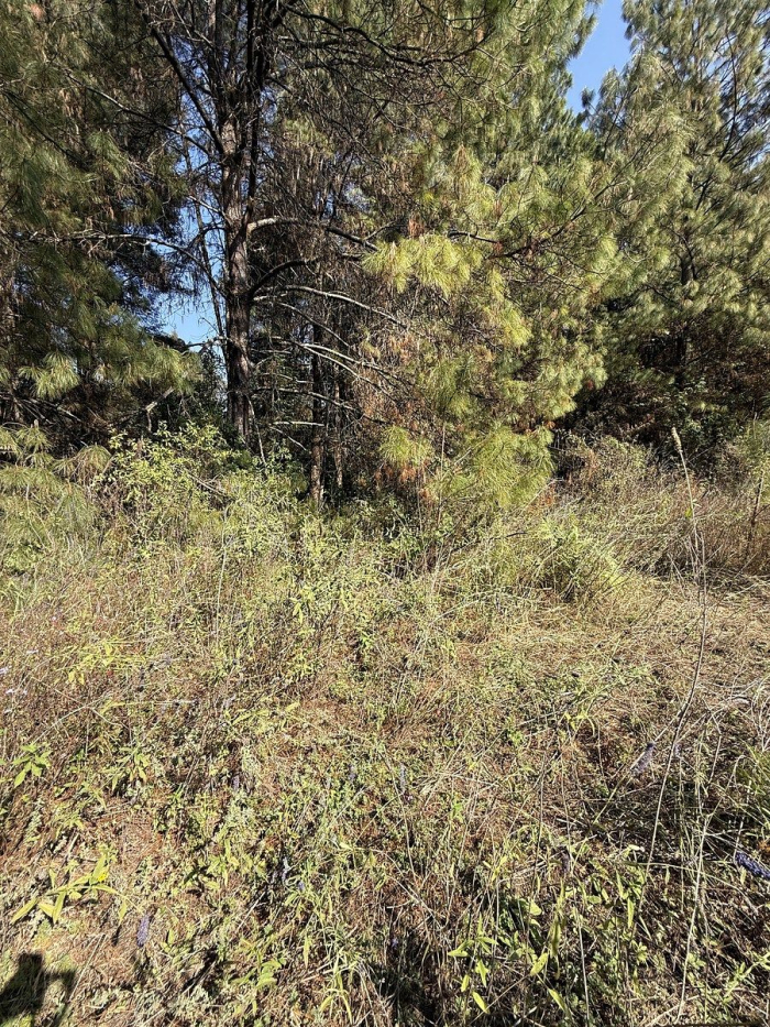 Terreno en San Simón el Alto