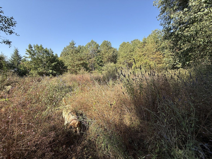 Terreno en San Simón el Alto