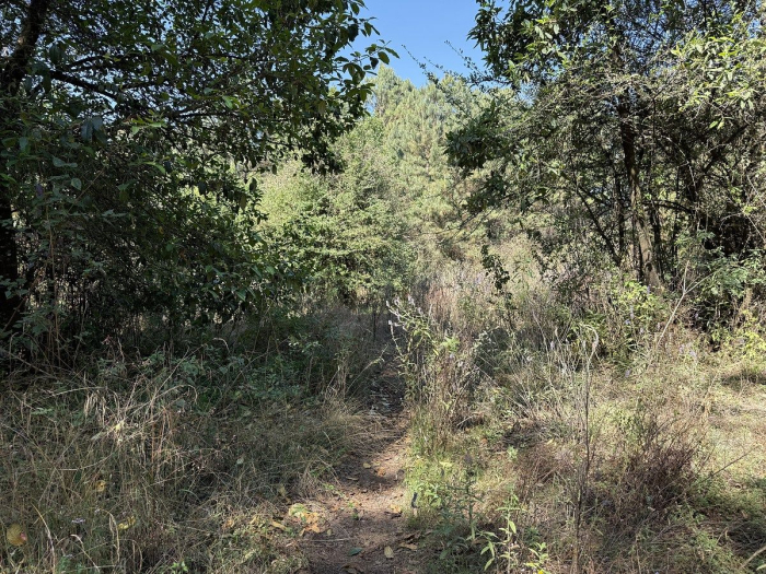 Terreno en San Simón el Alto