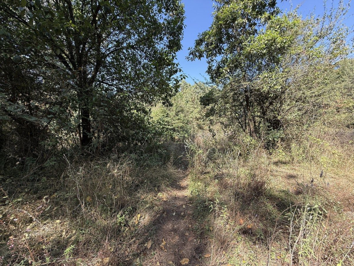 Terreno en San Simón el Alto