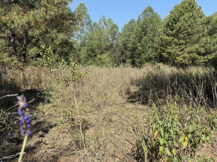 Terreno en San Simón el Alto