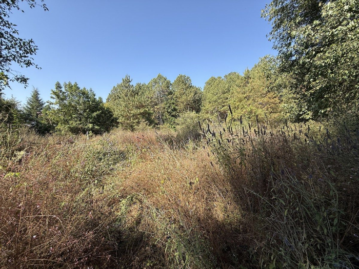 Terreno en San Simón el Alto