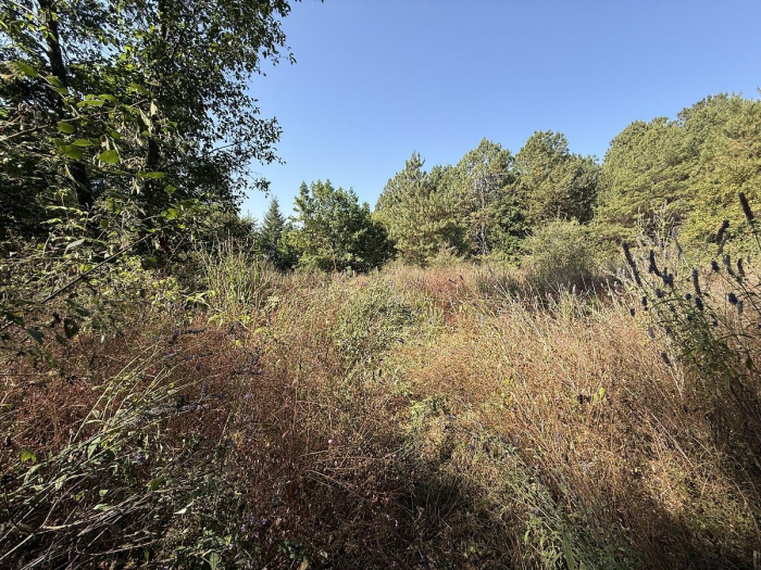 Terreno en San Simón el Alto