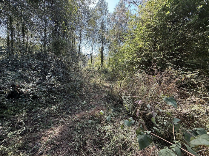 Terreno en San Simón el Alto