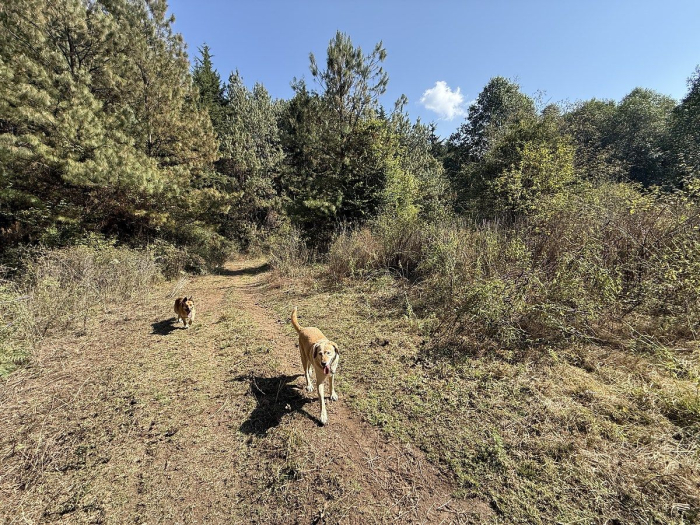 Terreno en San Simón el Alto