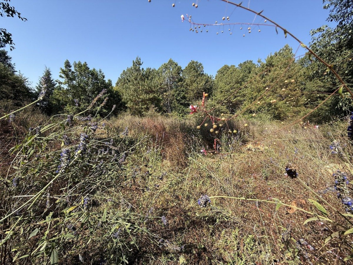 Terreno en San Simón el Alto