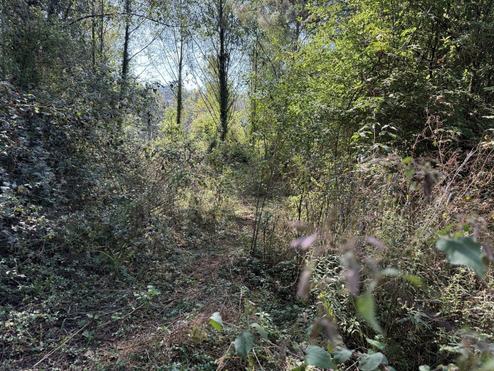 Terreno en San Simón el Alto