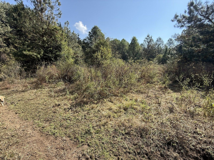 Terreno en San Simón el Alto