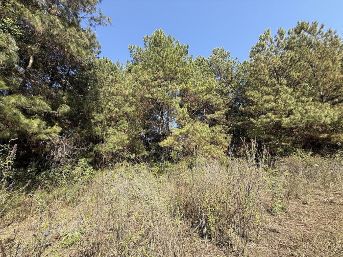 Terreno en San Simón el Alto