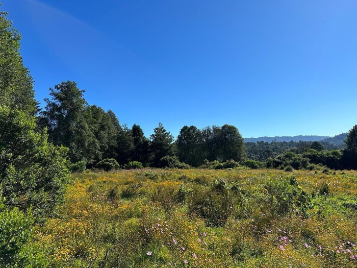 Joya en Rancho San Simón