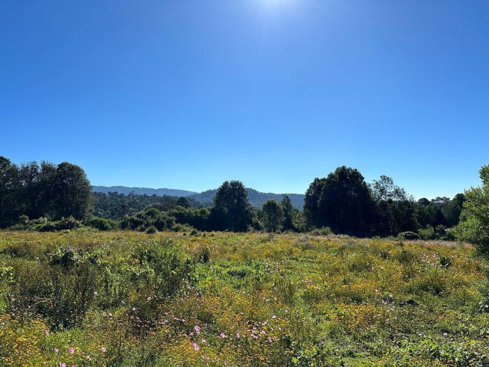 Joya en Rancho San Simón