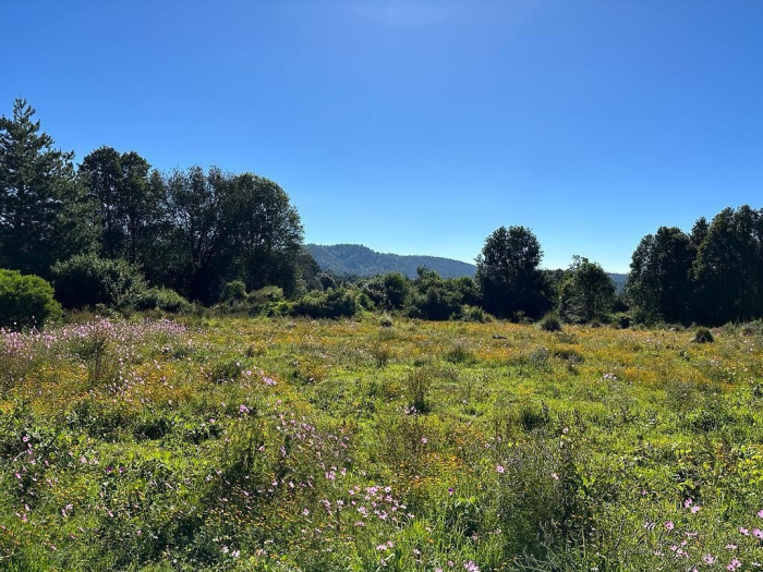 Joya en Rancho San Simón