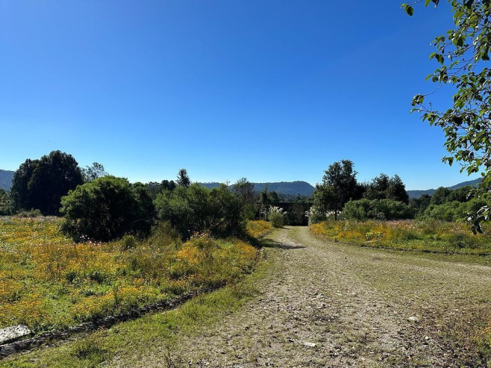 Joya en Rancho San Simón