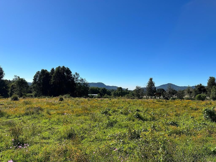 Joya en Rancho San Simón