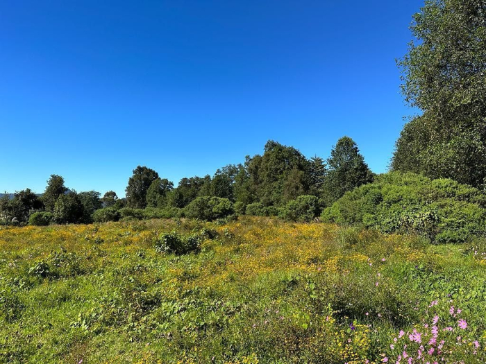 Joya en Rancho San Simón