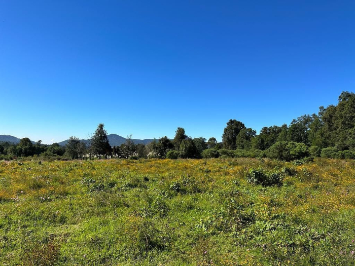 Joya en Rancho San Simón