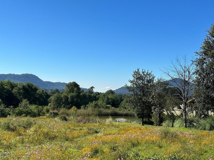 Joya en Rancho San Simón