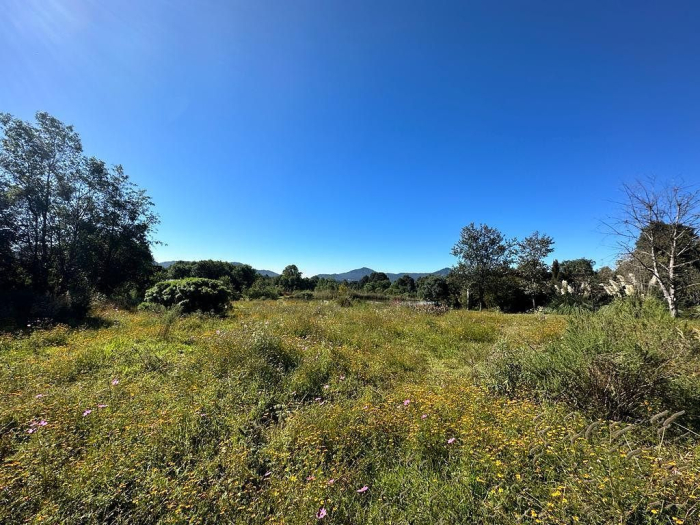 Joya en Rancho San Simón