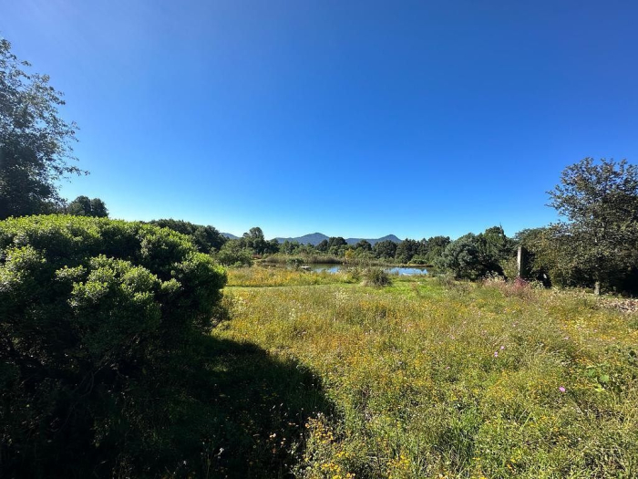 Joya en Rancho San Simón