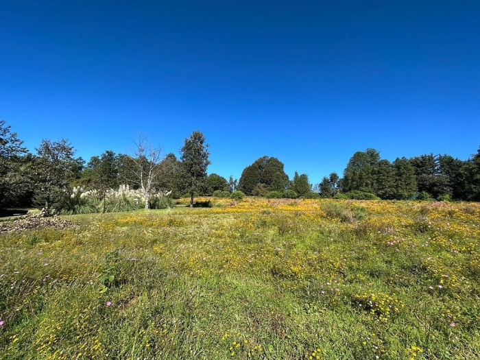 Joya en Rancho San Simón