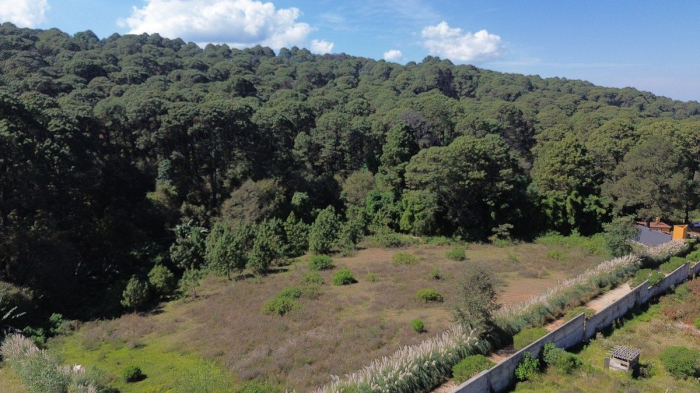 Terreno La Compañía