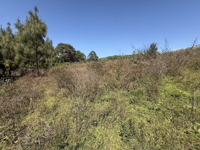 Terreno La Compañía