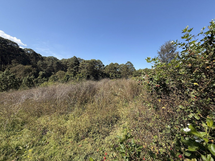 Terreno La Compañía