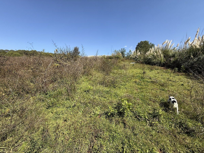 Terreno La Compañía