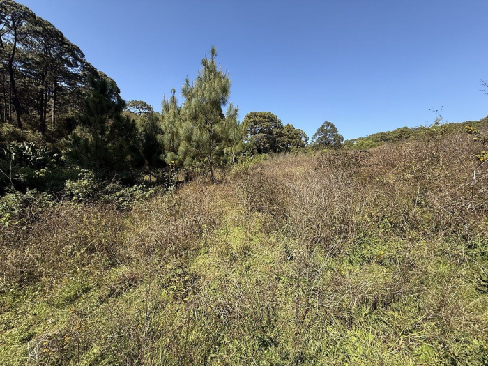 Terreno La Compañía