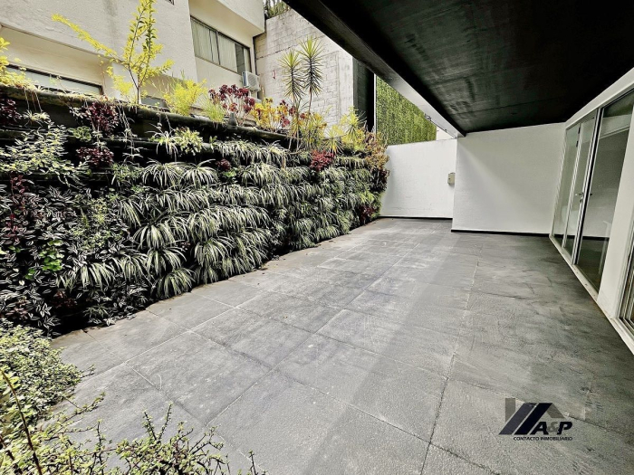 renta departamento garden house  – polanco