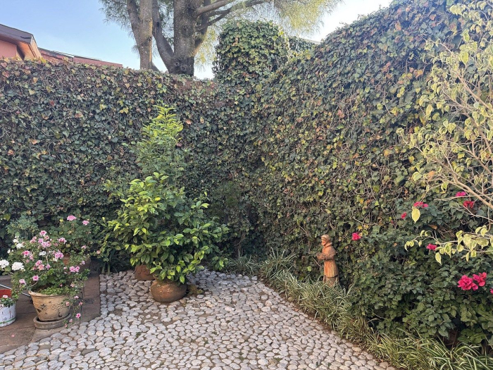 Venta casa en Lomas del Sol con doble vigilancia