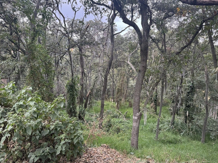 Terreno en Venta en Condado de Sayavedra