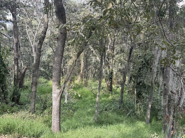 Terreno en Venta en Condado de Sayavedra