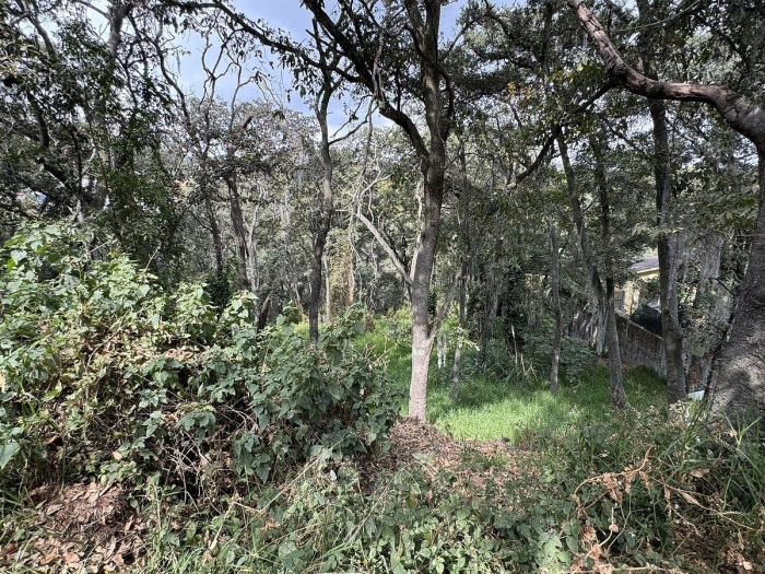 Terreno en Venta en Condado de Sayavedra