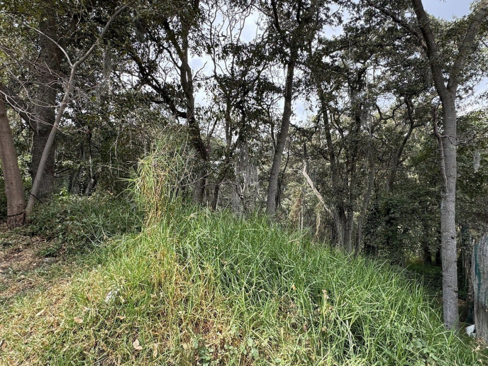 Terreno en Venta en Condado de Sayavedra