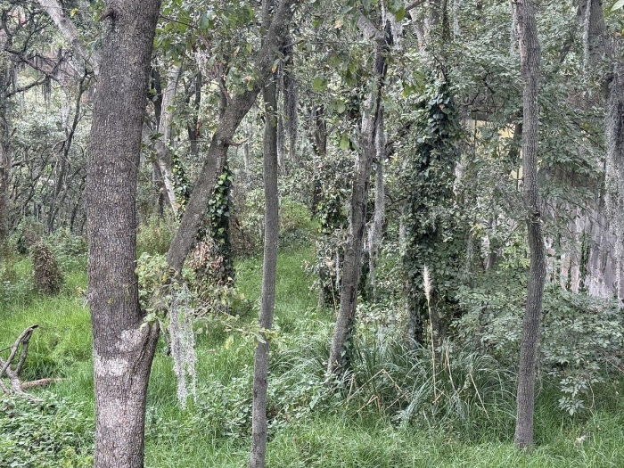 Terreno en Venta en Condado de Sayavedra