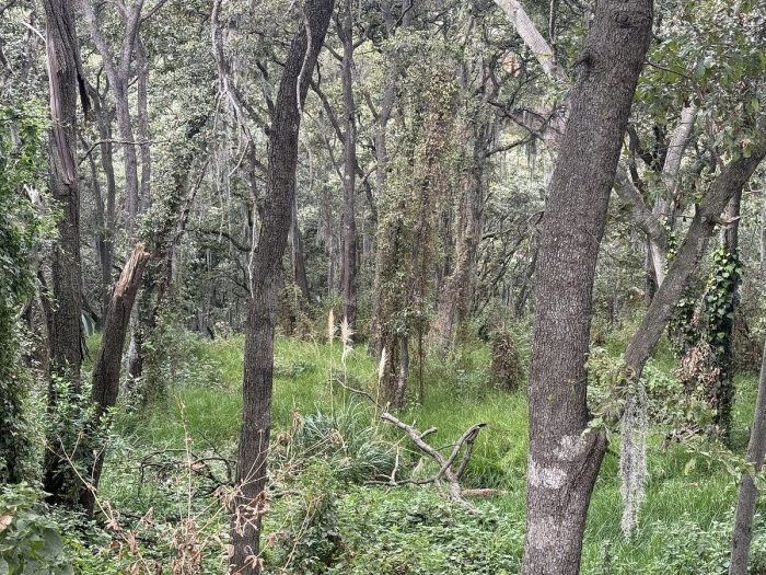 Terreno en Venta en Condado de Sayavedra