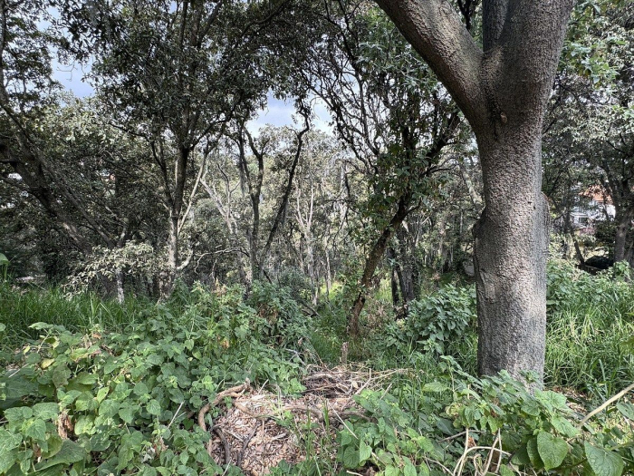 Terreno en Venta en Condado de Sayavedra