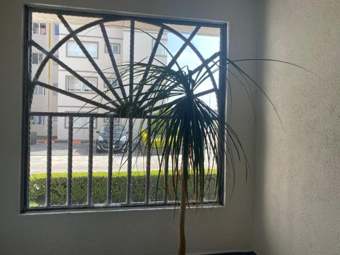 departamento en venta en palo solo