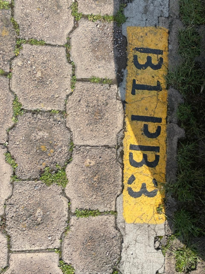 departamento en venta en palo solo