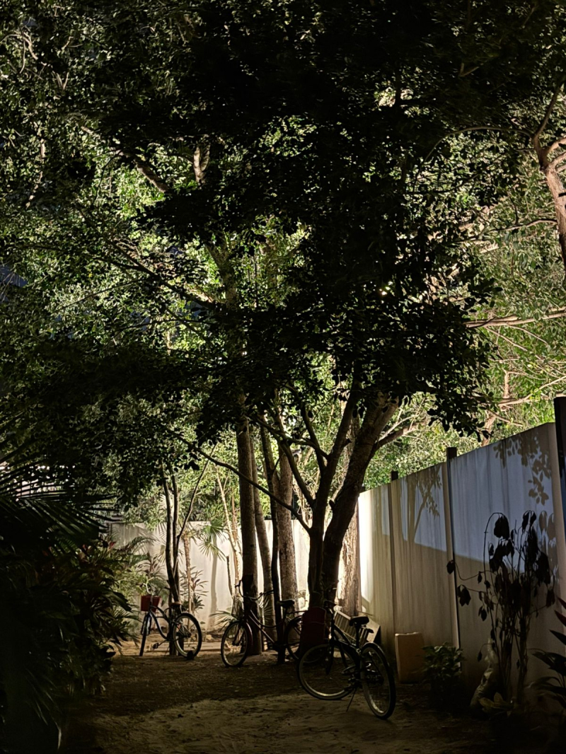 Departamento En Venta En Aldea Zama 